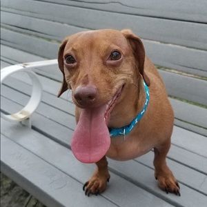 Meet your Posher, Joseph